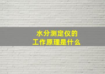 水分测定仪的工作原理是什么