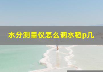 水分测量仪怎么调水稻p几