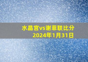 水晶宫vs谢菲联比分2024年1月31日