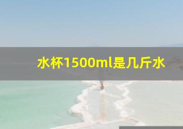 水杯1500ml是几斤水