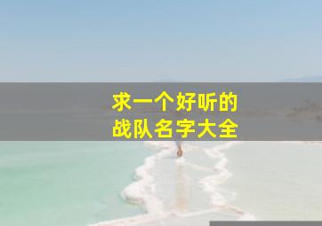 求一个好听的战队名字大全