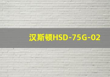 汉斯顿HSD-75G-02