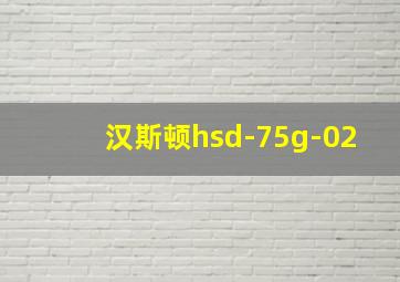 汉斯顿hsd-75g-02