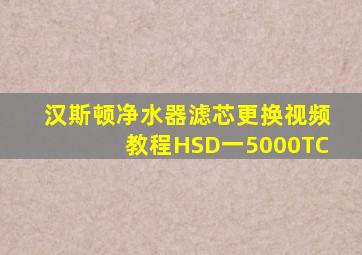 汉斯顿净水器滤芯更换视频教程HSD一5000TC