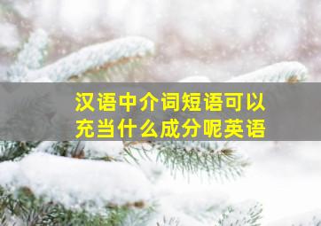 汉语中介词短语可以充当什么成分呢英语