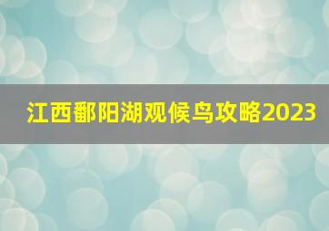 江西鄱阳湖观候鸟攻略2023