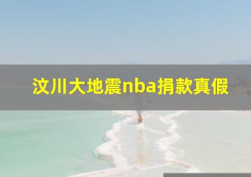 汶川大地震nba捐款真假