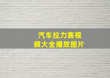 汽车拉力赛视频大全播放图片