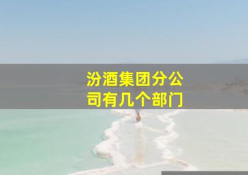 汾酒集团分公司有几个部门