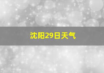 沈阳29日天气