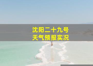 沈阳二十九号天气预报实况