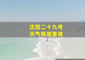 沈阳二十九号天气预报查询