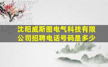 沈阳威斯图电气科技有限公司招聘电话号码是多少