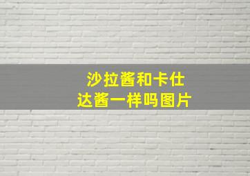 沙拉酱和卡仕达酱一样吗图片