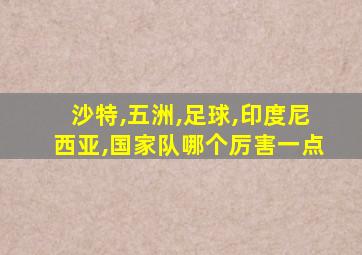 沙特,五洲,足球,印度尼西亚,国家队哪个厉害一点