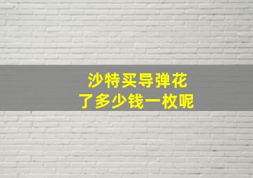 沙特买导弹花了多少钱一枚呢