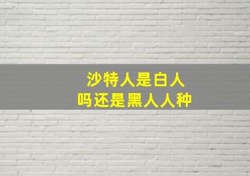 沙特人是白人吗还是黑人人种