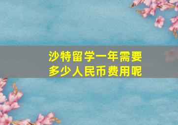 沙特留学一年需要多少人民币费用呢