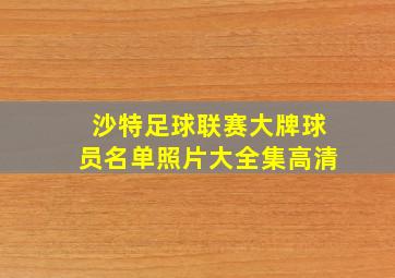 沙特足球联赛大牌球员名单照片大全集高清