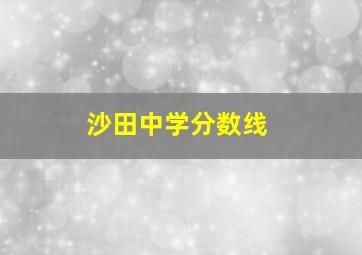 沙田中学分数线