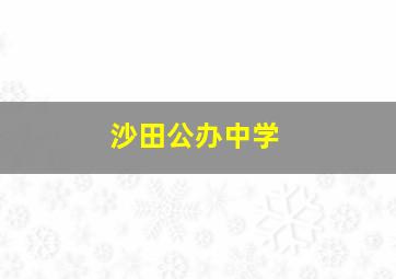 沙田公办中学