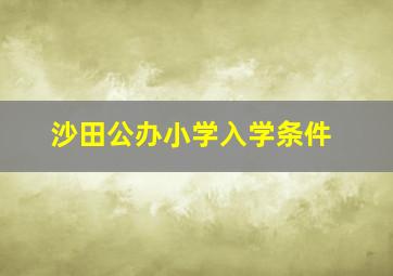 沙田公办小学入学条件