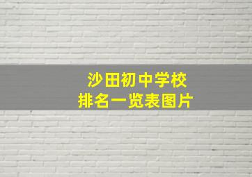 沙田初中学校排名一览表图片