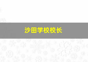 沙田学校校长