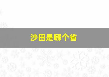 沙田是哪个省