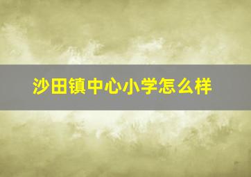 沙田镇中心小学怎么样