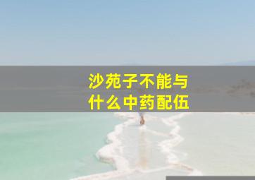 沙苑子不能与什么中药配伍