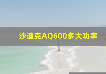 沙迪克AQ600多大功率