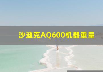 沙迪克AQ600机器重量