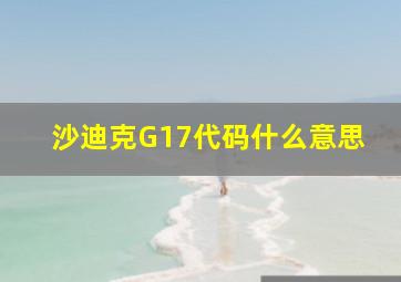 沙迪克G17代码什么意思