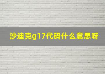 沙迪克g17代码什么意思呀