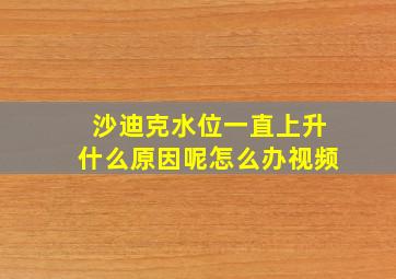 沙迪克水位一直上升什么原因呢怎么办视频