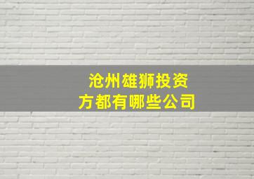 沧州雄狮投资方都有哪些公司