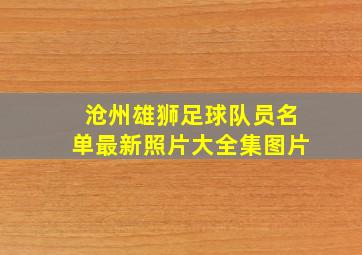 沧州雄狮足球队员名单最新照片大全集图片