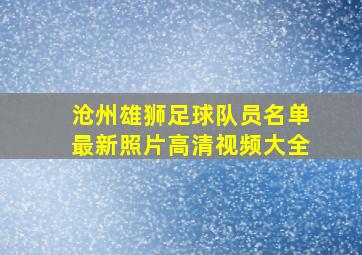 沧州雄狮足球队员名单最新照片高清视频大全