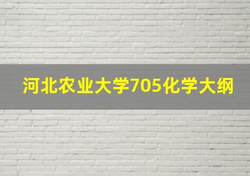 河北农业大学705化学大纲