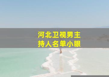 河北卫视男主持人名单小眼