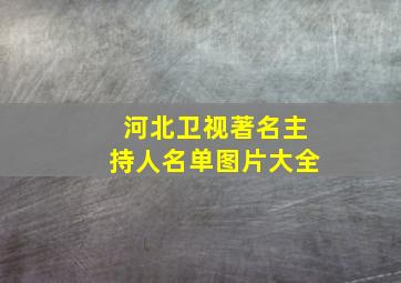 河北卫视著名主持人名单图片大全