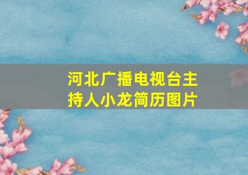 河北广播电视台主持人小龙简历图片