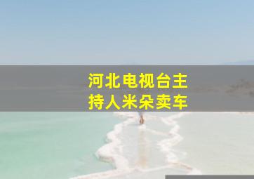 河北电视台主持人米朵卖车