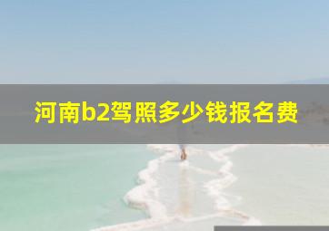 河南b2驾照多少钱报名费