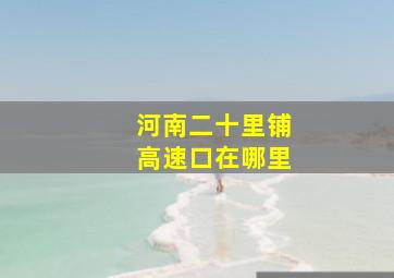 河南二十里铺高速口在哪里