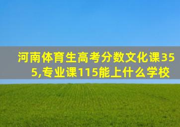 河南体育生高考分数文化课355,专业课115能上什么学校