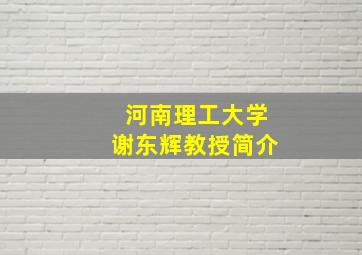 河南理工大学谢东辉教授简介