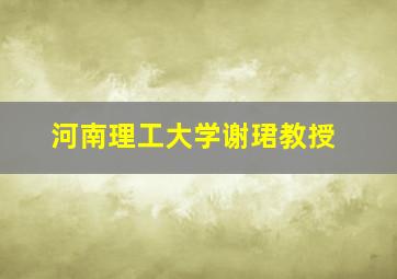 河南理工大学谢珺教授