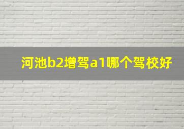 河池b2增驾a1哪个驾校好